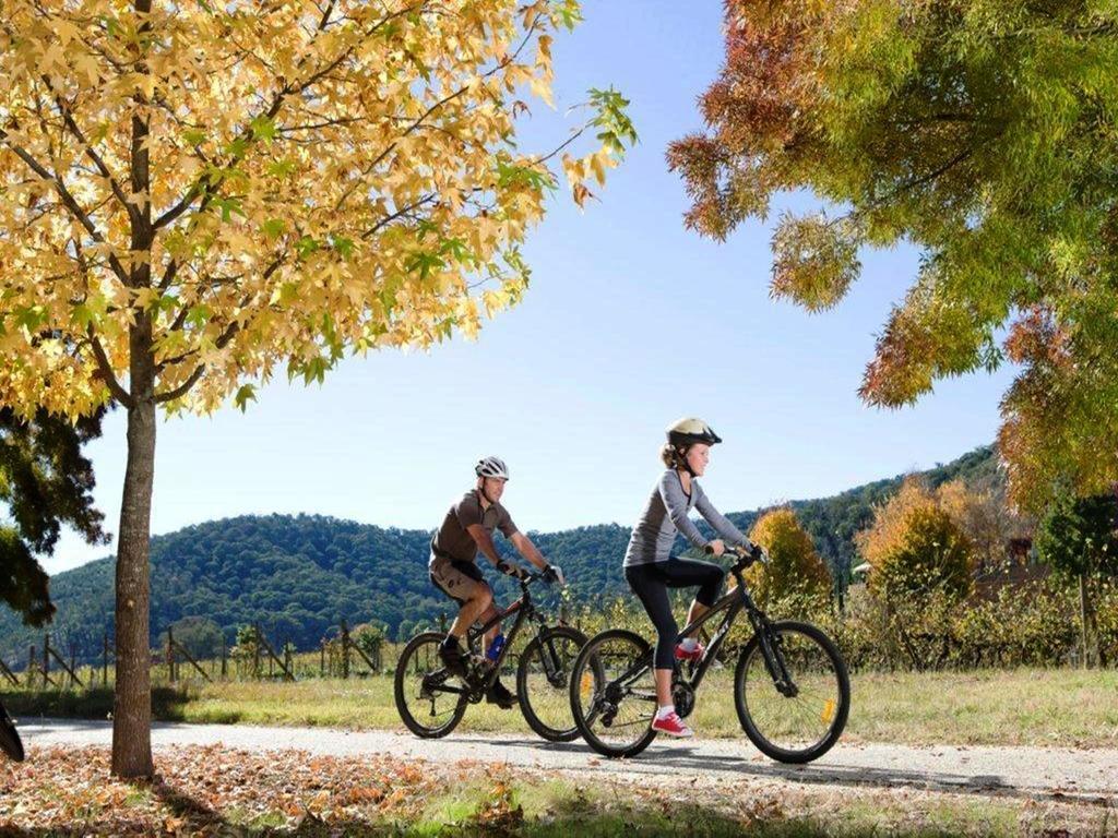 Discovery Parks - Bright Freeburgh 外观 照片